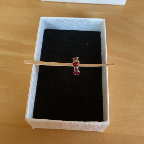 Chamilia January Birthstone Charm - Picture 6 of 8